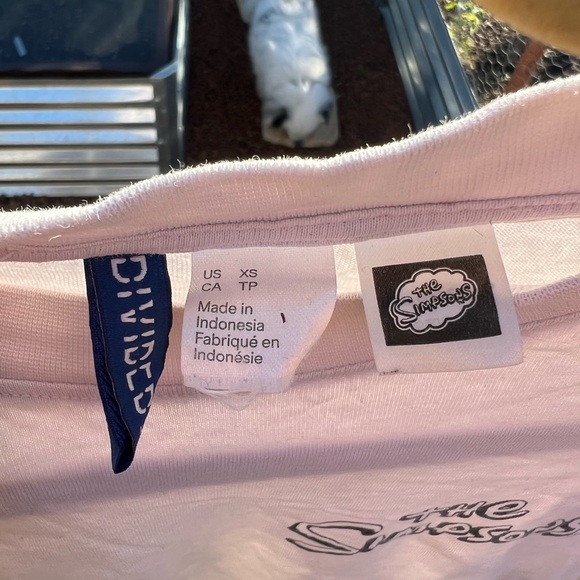 Simpsons - Picture 2 of 5